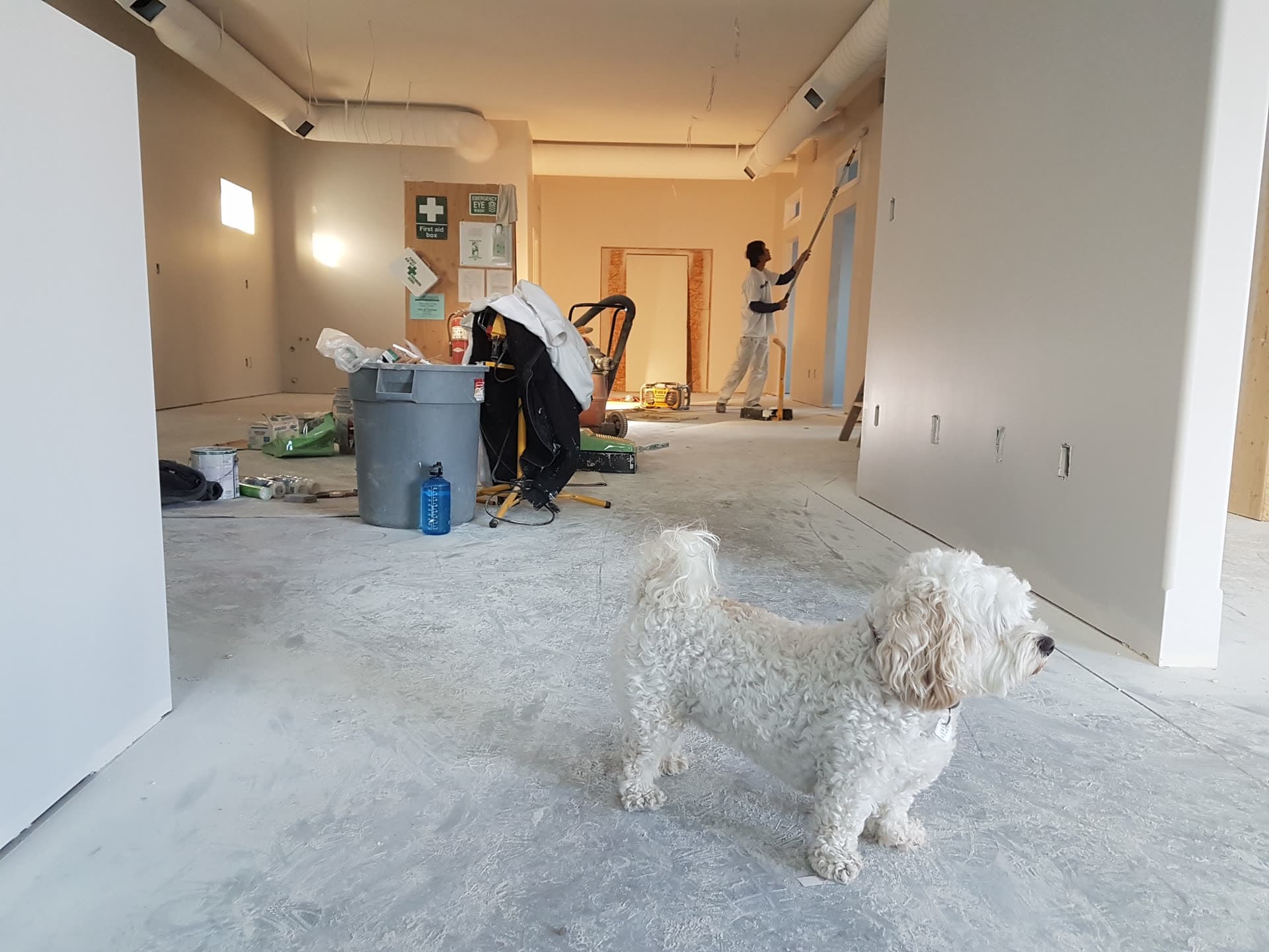 Post Construction Cleanup